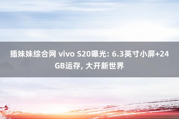 插妹妹综合网 vivo S20曝光: 6.3英寸小屏+24GB运存， 大开新世界