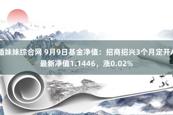 插妹妹综合网 9月9日基金净值：招商招兴3个月定开A最新净值1.1446，涨0.02%