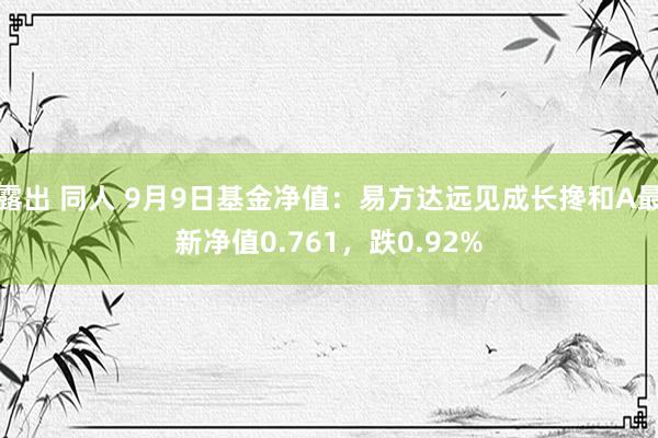 露出 同人 9月9日基金净值：易方达远见成长搀和A最新净值0.761，跌0.92%