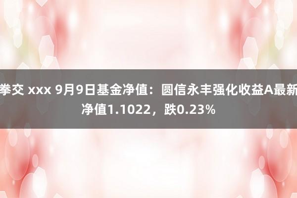 拳交 xxx 9月9日基金净值：圆信永丰强化收益A最新净值1.1022，跌0.23%