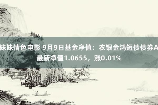 妹妹情色电影 9月9日基金净值：农银金鸿短债债券A最新净值1.0655，涨0.01%