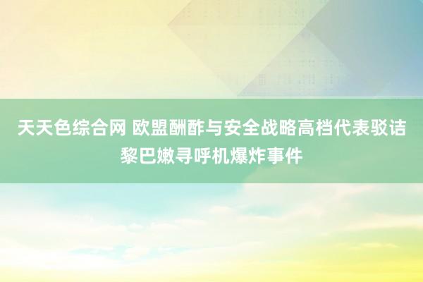 天天色综合网 欧盟酬酢与安全战略高档代表驳诘黎巴嫩寻呼机爆炸事件