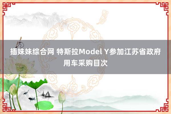 插妹妹综合网 特斯拉Model Y参加江苏省政府用车采购目次