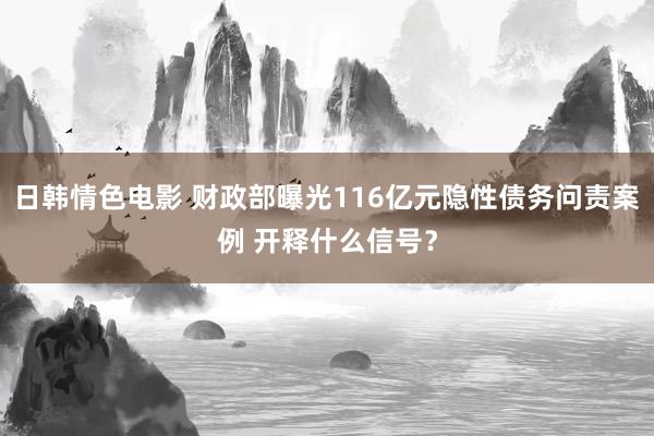 日韩情色电影 财政部曝光116亿元隐性债务问责案例 开释什么信号？