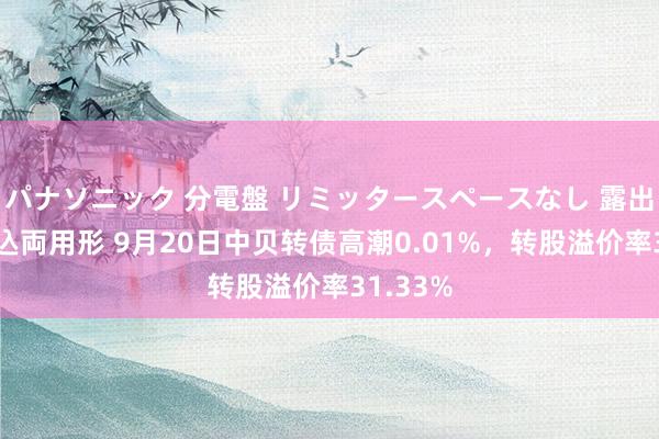 パナソニック 分電盤 リミッタースペースなし 露出・半埋込両用形 9月20日中贝转债高潮0.01%，转股溢价率31.33%