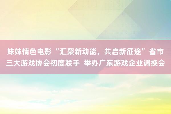 妹妹情色电影 “汇聚新动能，共启新征途” 省市三大游戏协会初度联手  举办广东游戏企业调换会