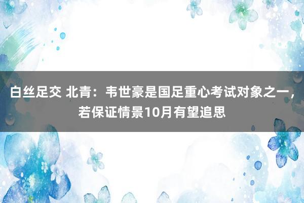 白丝足交 北青：韦世豪是国足重心考试对象之一，若保证情景10月有望追思