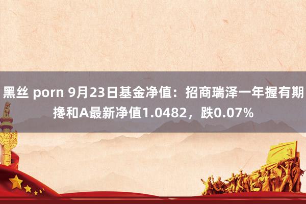 黑丝 porn 9月23日基金净值：招商瑞泽一年握有期搀和A最新净值1.0482，跌0.07%