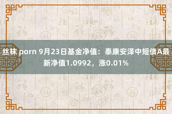 丝袜 porn 9月23日基金净值：泰康安泽中短债A最新净值1.0992，涨0.01%