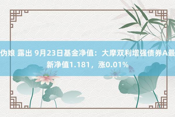 伪娘 露出 9月23日基金净值：大摩双利增强债券A最新净值1.181，涨0.01%