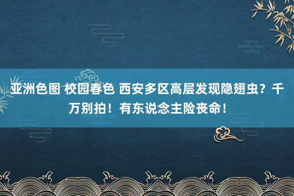 亚洲色图 校园春色 西安多区高层发现隐翅虫？千万别拍！有东说念主险丧命！