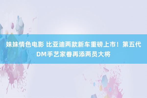 妹妹情色电影 比亚迪两款新车重磅上市！第五代DM手艺家眷再添两员大将