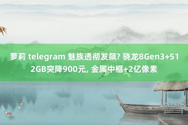 萝莉 telegram 魅族透彻发飙? 骁龙8Gen3+512GB突降900元， 金属中框+2亿像素