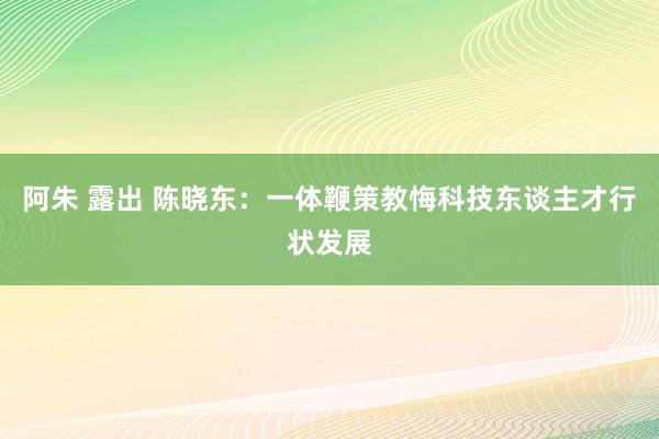 阿朱 露出 陈晓东：一体鞭策教悔科技东谈主才行状发展