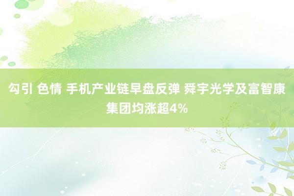 勾引 色情 手机产业链早盘反弹 舜宇光学及富智康集团均涨超4%