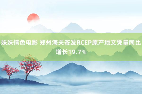 妹妹情色电影 郑州海关签发RCEP原产地文凭量同比增长19.7%