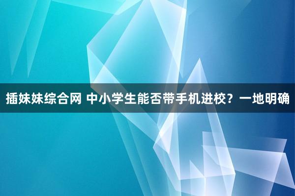 插妹妹综合网 中小学生能否带手机进校？一地明确