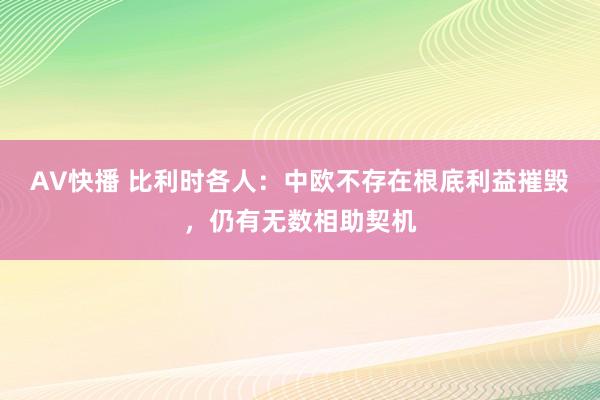 AV快播 比利时各人：中欧不存在根底利益摧毁，仍有无数相助契机