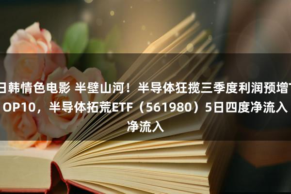 日韩情色电影 半壁山河！半导体狂揽三季度利润预增TOP10，半导体拓荒ETF（561980）5日四度净流入