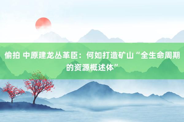 偷拍 中原建龙丛革臣：何如打造矿山“全生命周期的资源概述体”