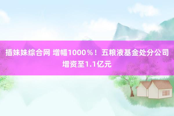 插妹妹综合网 增幅1000％！五粮液基金处分公司增资至1.1亿元