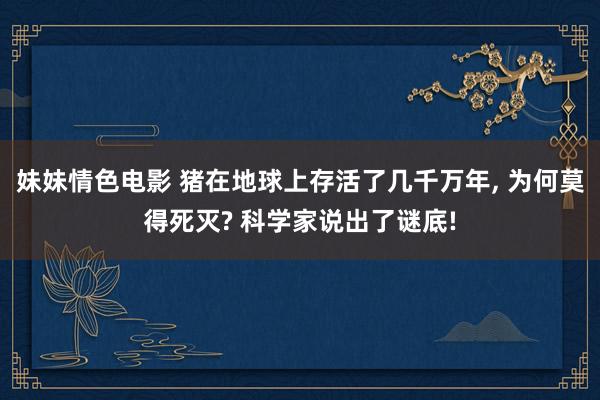 妹妹情色电影 猪在地球上存活了几千万年， 为何莫得死灭? 科学家说出了谜底!