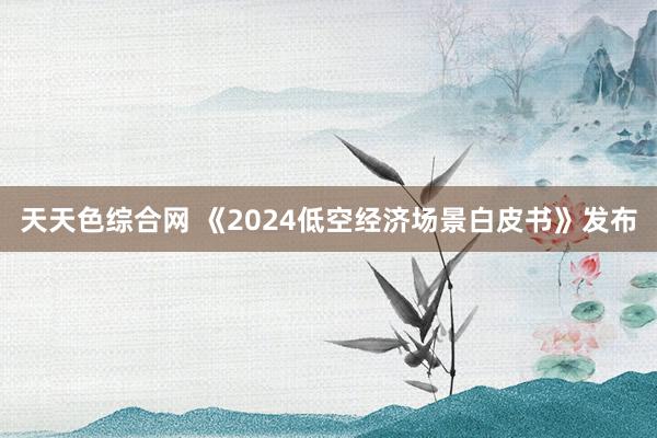 天天色综合网 《2024低空经济场景白皮书》发布