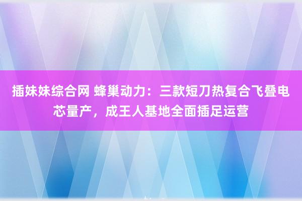 插妹妹综合网 蜂巢动力：三款短刀热复合飞叠电芯量产，成王人基地全面插足运营