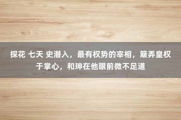 探花 七天 史潜入，最有权势的宰相，簸弄皇权于掌心，和珅在他眼前微不足道