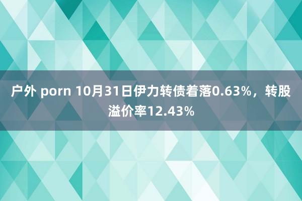 户外 porn 10月31日伊力转债着落0.63%，转股溢价率12.43%