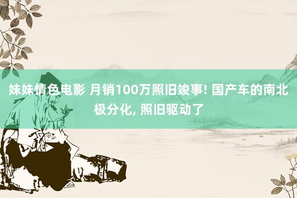 妹妹情色电影 月销100万照旧竣事! 国产车的南北极分化， 照旧驱动了