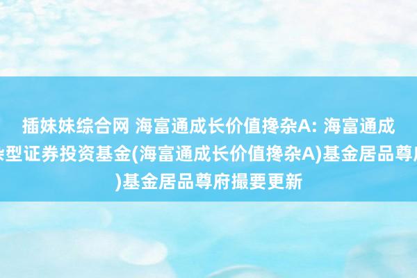 插妹妹综合网 海富通成长价值搀杂A: 海富通成长价值搀杂型证券投资基金(海富通成长价值搀杂A)基金居品尊府撮要更新