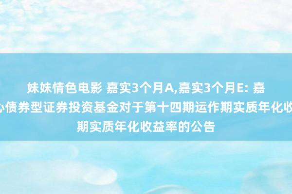 妹妹情色电影 嘉实3个月A，嘉实3个月E: 嘉实3个月本心债券型证券投资基金对于第十四期运作期实质年化收益率的公告