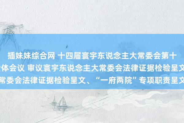 插妹妹综合网 十四届寰宇东说念主大常委会第十二次会议举行第二次全体会议 审议寰宇东说念主大常委会法律证据检验呈文、“一府两院”专项职责呈文等