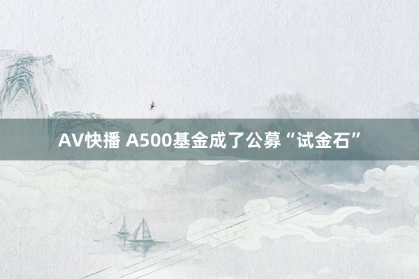 AV快播 A500基金成了公募“试金石”