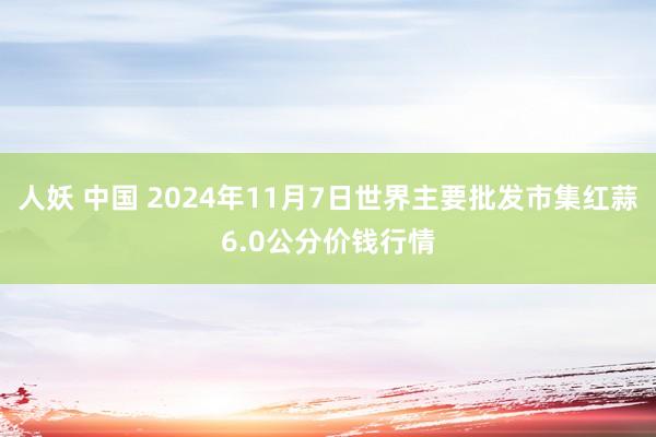 人妖 中国 2024年11月7日世界主要批发市集红蒜6.0公分价钱行情