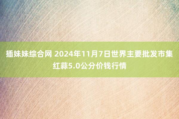 插妹妹综合网 2024年11月7日世界主要批发市集红蒜5.0公分价钱行情