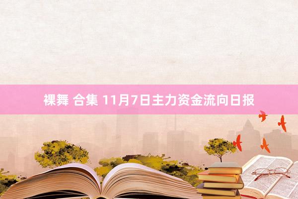 裸舞 合集 11月7日主力资金流向日报