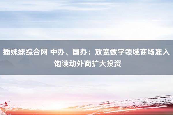 插妹妹综合网 中办、国办：放宽数字领域商场准入 饱读动外商扩大投资