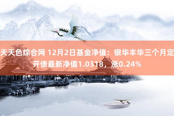 天天色综合网 12月2日基金净值：银华丰华三个月定开债最新净值1.0318，涨0.24%