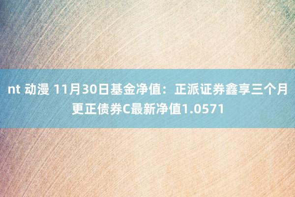 nt 动漫 11月30日基金净值：正派证券鑫享三个月更正债券C最新净值1.0571