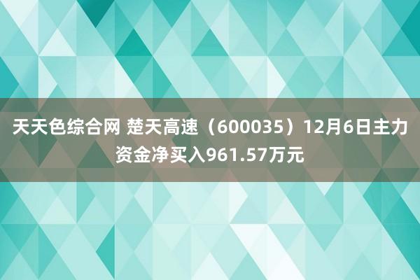 天天色综合网 楚天高速（600035）12月6日主力资金净买入961.57万元