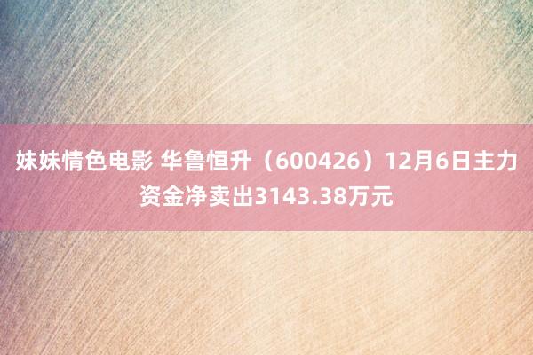 妹妹情色电影 华鲁恒升（600426）12月6日主力资金净卖出3143.38万元