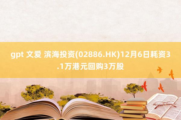 gpt 文爱 滨海投资(02886.HK)12月6日耗资3.1万港元回购3万股