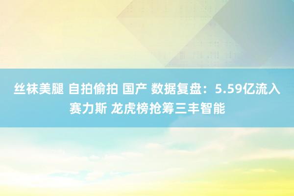 丝袜美腿 自拍偷拍 国产 数据复盘：5.59亿流入赛力斯 龙虎榜抢筹三丰智能