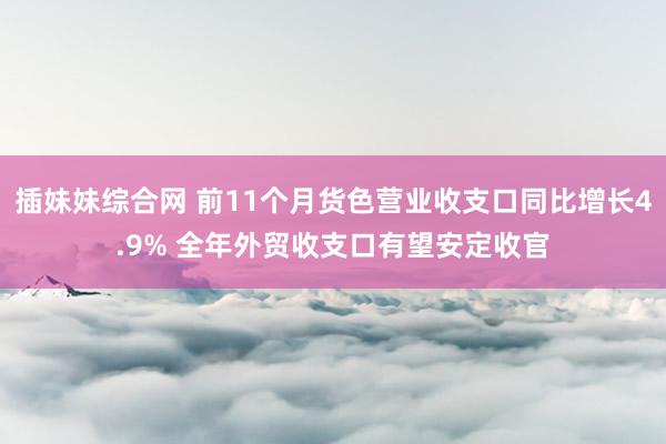 插妹妹综合网 前11个月货色营业收支口同比增长4.9% 全年外贸收支口有望安定收官