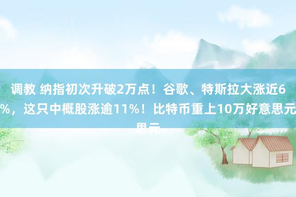 调教 纳指初次升破2万点！谷歌、特斯拉大涨近6%，这只中概股涨逾11%！比特币重上10万好意思元