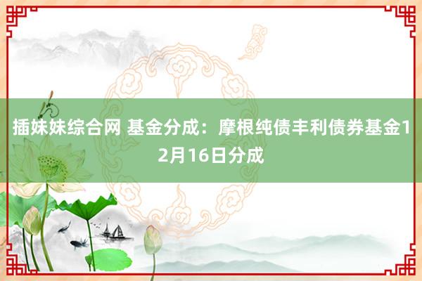 插妹妹综合网 基金分成：摩根纯债丰利债券基金12月16日分成