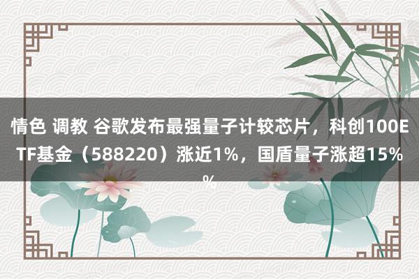 情色 调教 谷歌发布最强量子计较芯片，科创100ETF基金（588220）涨近1%，国盾量子涨超15%