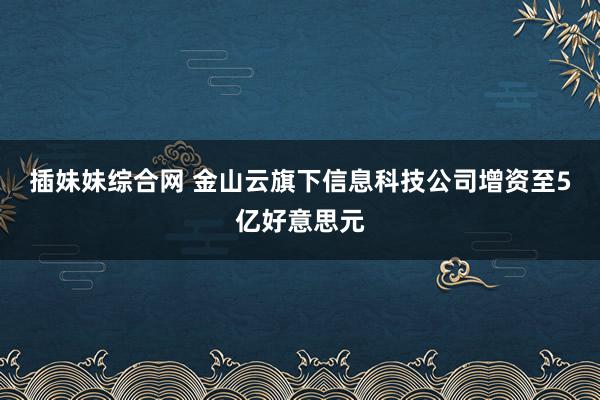 插妹妹综合网 金山云旗下信息科技公司增资至5亿好意思元